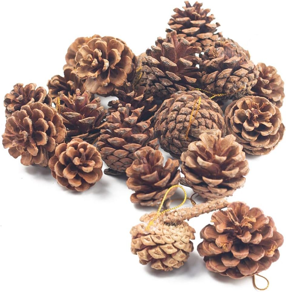 Decorative Pinecones